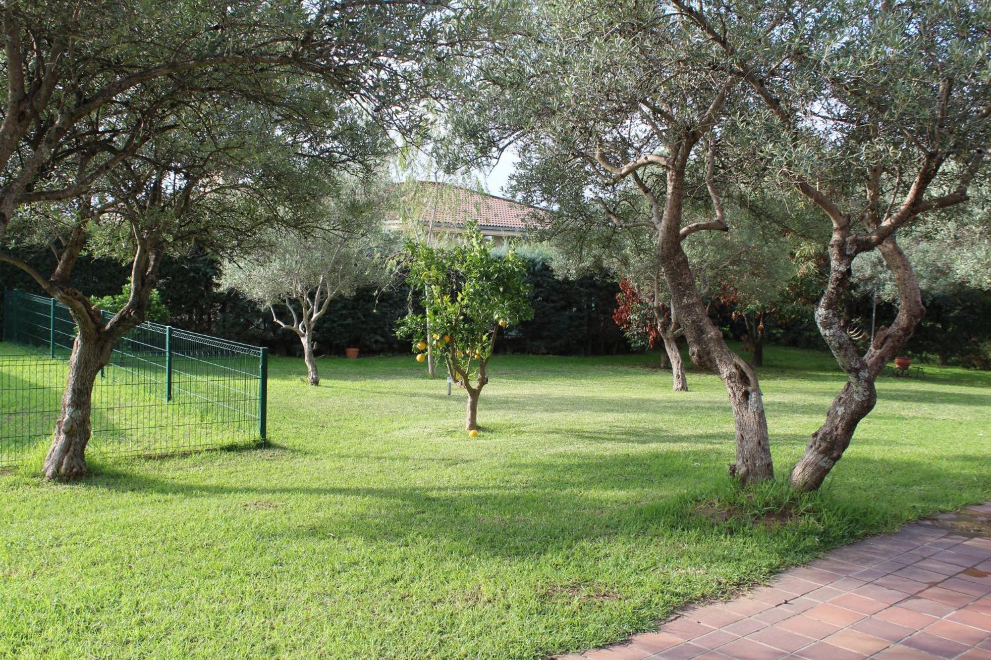 Appartamento La Huertarrona Candeleda Esterno foto