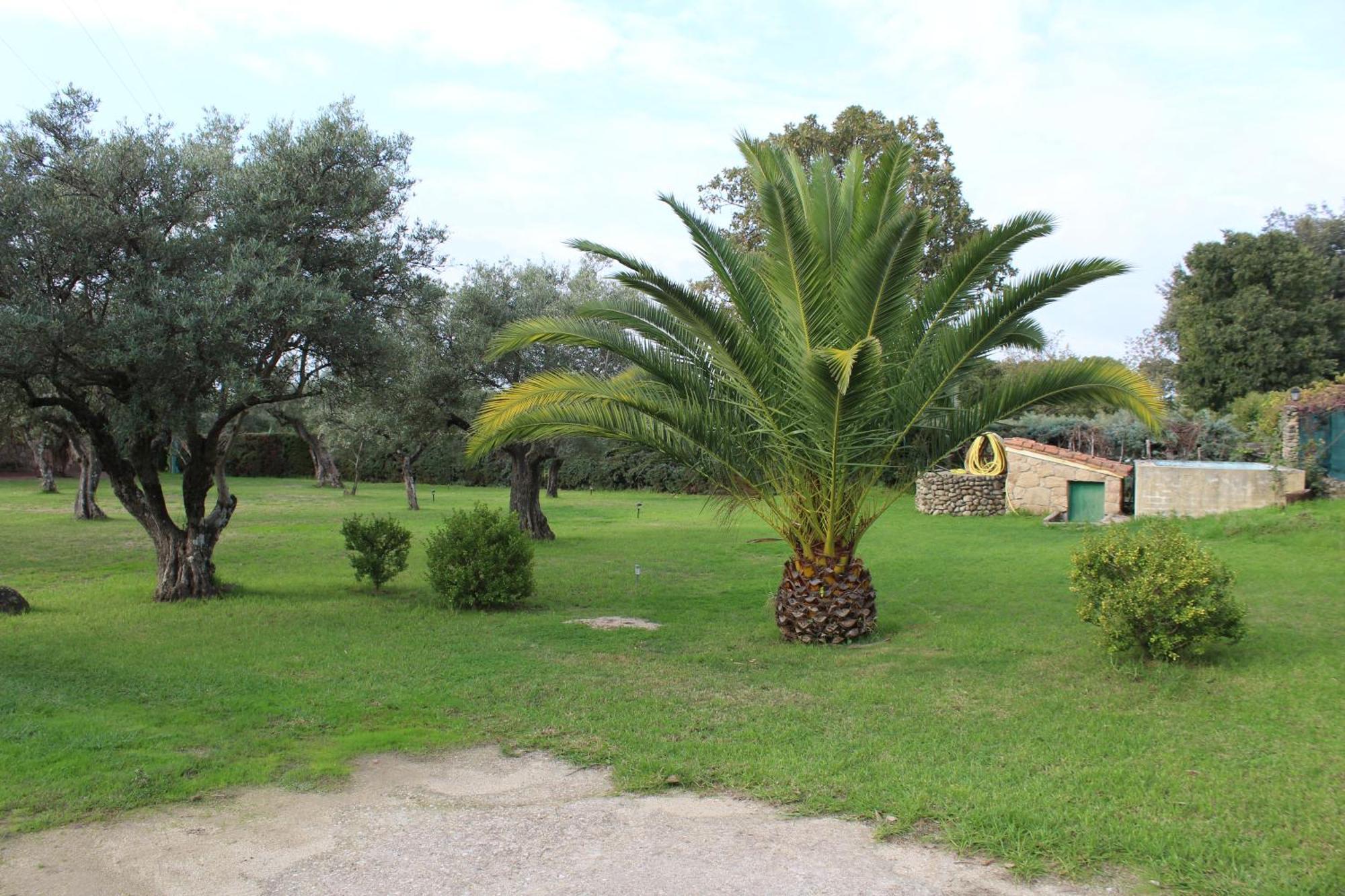 Appartamento La Huertarrona Candeleda Esterno foto