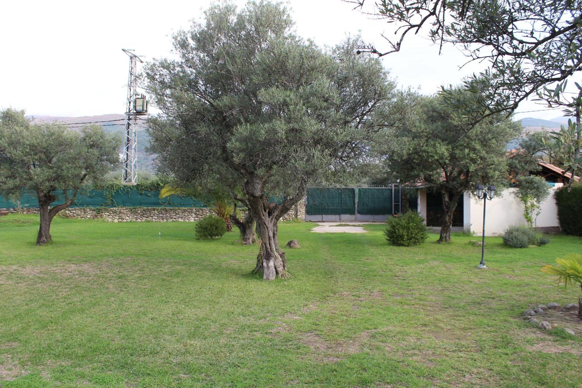 Appartamento La Huertarrona Candeleda Esterno foto